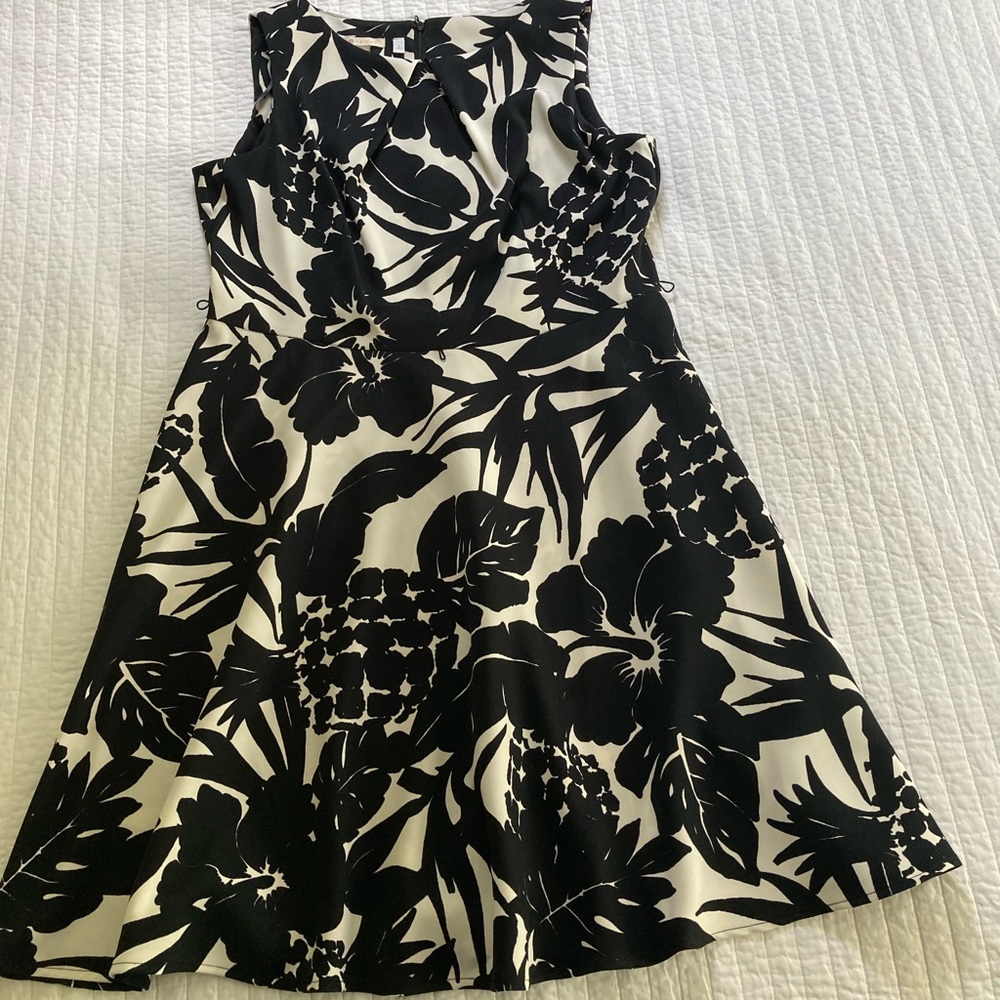 Dress Barn Darby Black and White Dress